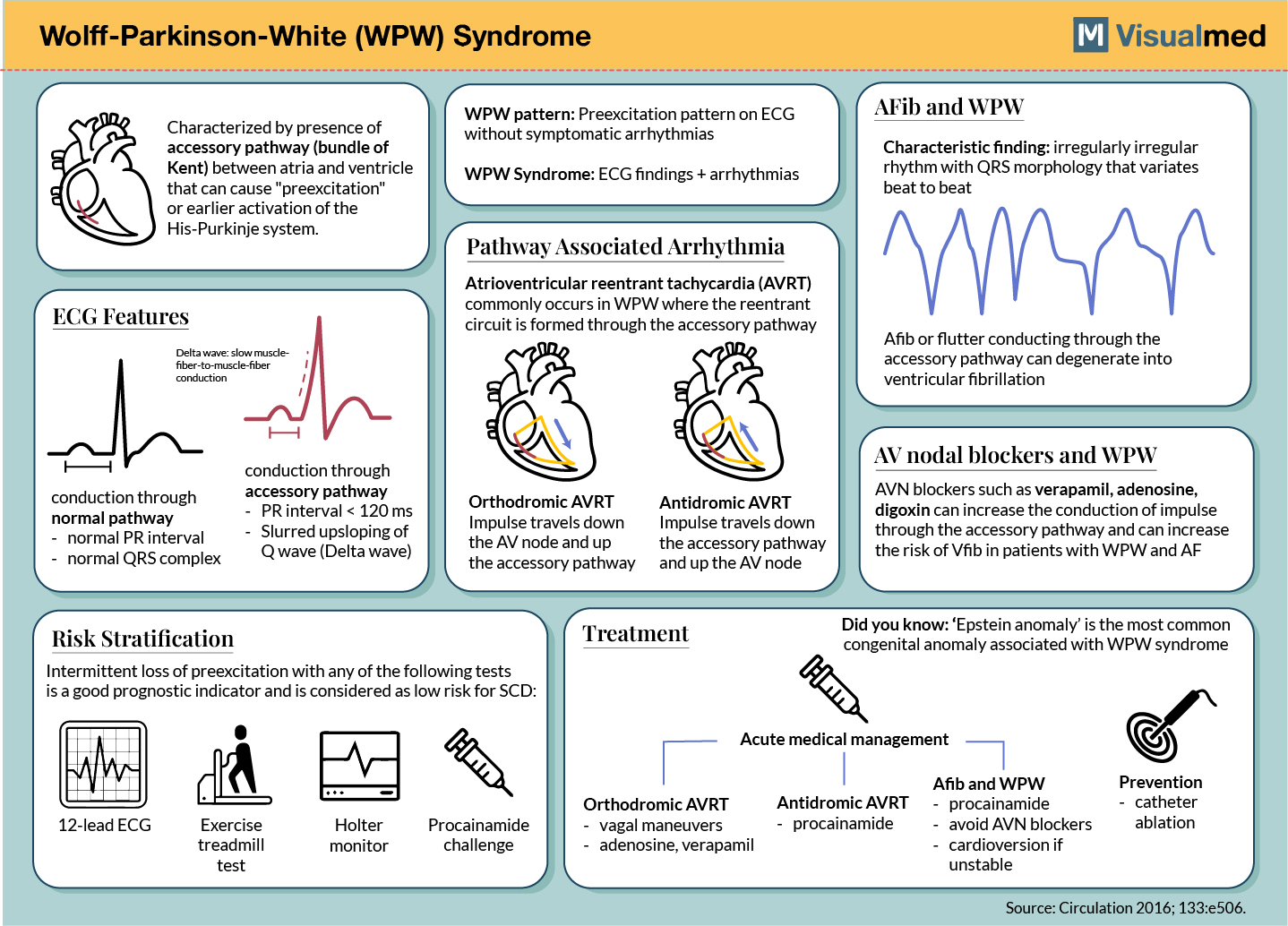 WPW wolf parkinson white syndrome